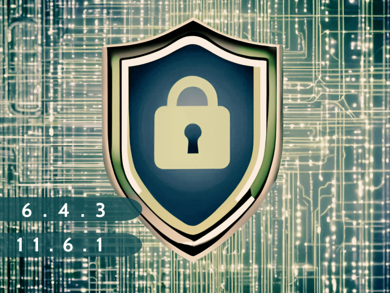 The New PCI DSS Standards for Safer Payment Pages